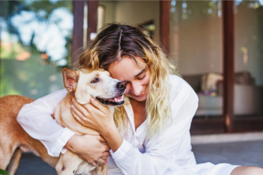 Is Pet Insurance Right for You?